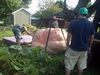 cedarburg pumpkin lift