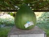 gourd on pedestal