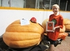 My 489.5 Lukes won the Howard Dill Best Looking Pumpkin Award